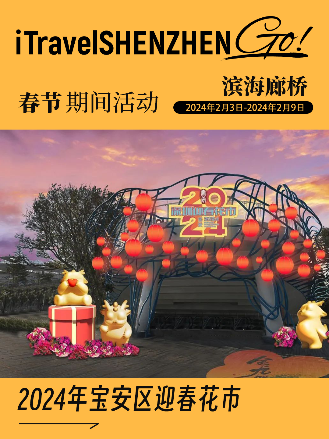 行过花街才算年！2024深圳各区迎春花市超全攻略开云网站(图7)