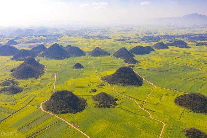 2024全国赏花地图3-8月值得去的14个重磅花海开云网站绝美花期全不落(图1)