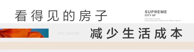 聊城民生城市之尊售楼处电线首页→楼盘百科→详情(图11)