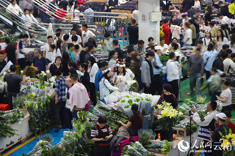 昆明呈贡将举办斗南花卉展览会(图1)