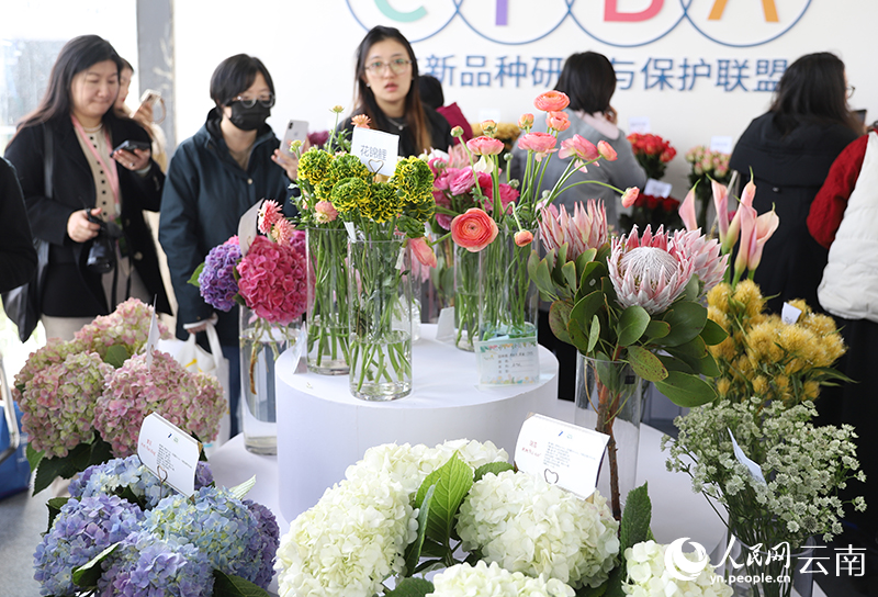 昆明呈贡：斗南花香飘全球(图1)