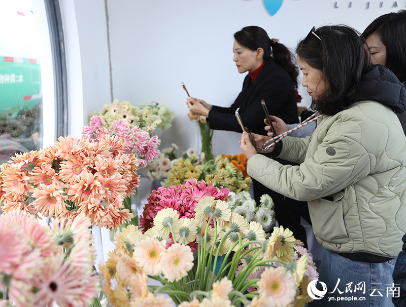 昆明呈贡：斗南花香飘全球(图3)