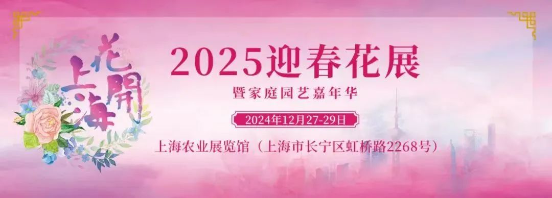 愛花人的盛會！2025迎春花展將在長寧這裡舉行→(图1)