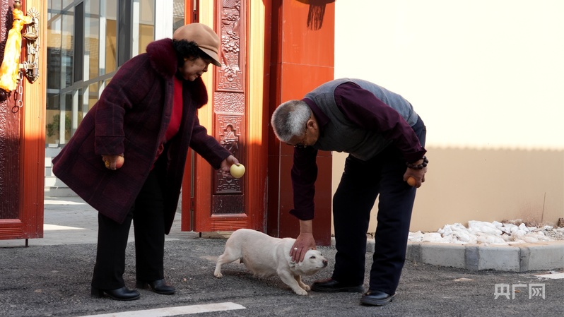 【人民城市·温情中国】金田草滩新村的新年愿望：搬入新家种满鲜花(图7)