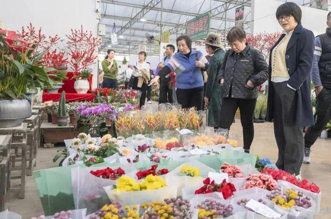 行业观察广州花卉市场年味渐浓：线上销售占比增大文旅结合趋势明显(图3)