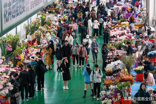 昆明斗南花卉：连续25年蝉联全国第一花卉产业的璀璨明珠！(图3)