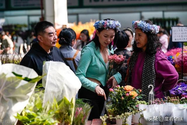 昆明斗南花卉：连续25年蝉联全国第一花卉产业的璀璨明珠！(图8)