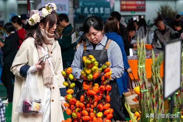 昆明斗南花卉：连续25年蝉联全国第一花卉产业的璀璨明珠！(图7)