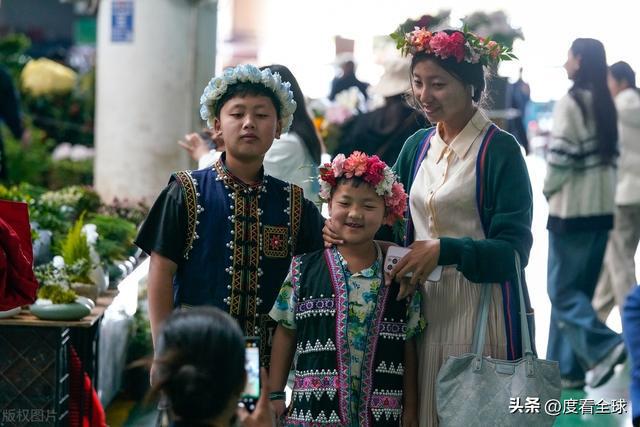 昆明斗南花卉：连续25年蝉联全国第一花卉产业的璀璨明珠！(图11)