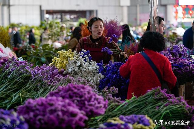 昆明斗南花卉：连续25年蝉联全国第一花卉产业的璀璨明珠！(图16)