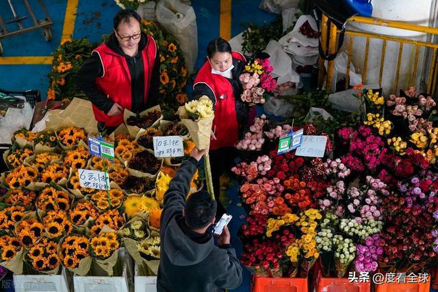 昆明斗南花卉：连续25年蝉联全国第一花卉产业的璀璨明珠！(图15)