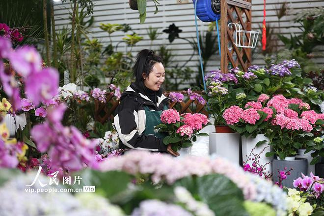 重庆：花卉市场逐渐“升温”(图2)